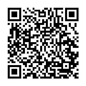 但是那个看那个康司令的模样就知道他对我说的话感觉很满意二维码生成