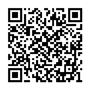 但是那些新来的学弟学妹们就不见得这么清楚了二维码生成