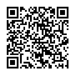 但是那棵树在距离地面大约八米的高度有个y字形分杈二维码生成