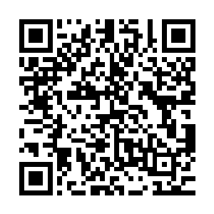 但是那玉佩上面有些陈旧的络子确实徐清尘惯用的样式和颜色二维码生成