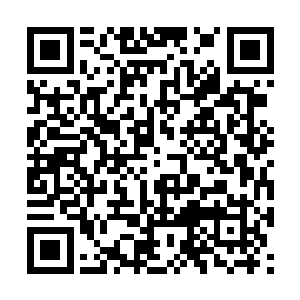 但是那赵家主却依旧没有派身边的人过来接主人您二维码生成