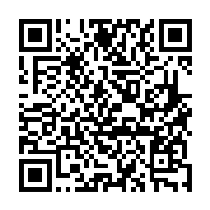 但是那里想到自己的儿子根本就没有理会自己目光的意思二维码生成