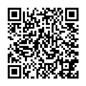 但是陆为民今天这一上来就摆出如此低调平和的姿态二维码生成