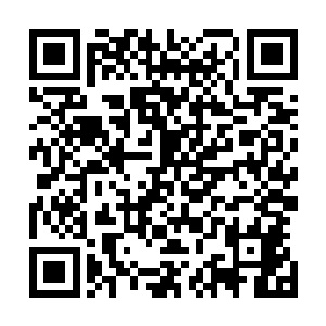 但是陆为民这段时间对这几个即将竣工剪彩的项目十分关注二维码生成