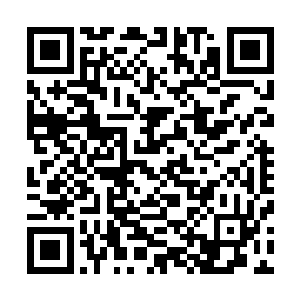 但是难道阁下以为以阁下的一己之力就能够抗衡我青蛟一族二维码生成