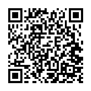 但是非常准确地判断出那个双刀假面应该就是马文本人了二维码生成