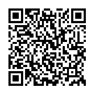 但是面对这狂霸无边实力强横蛮不讲理的小幼崽二维码生成