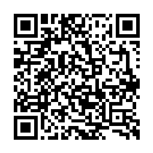 但是马文还是本能地觉得真相极有可能是这样的二维码生成