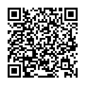 但是高靖界主在之前的战斗里已经受了严重的伤势二维码生成