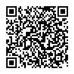 但显然专业人员的高超技巧保证了巨大创伤口不会变成久治不愈的感染灶二维码生成