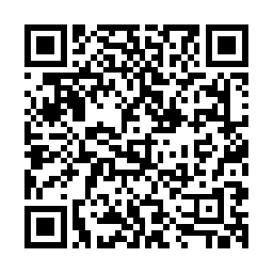 但晶脑型老爷爷的庞大数据库中同样可以存储大量的绝世神通二维码生成