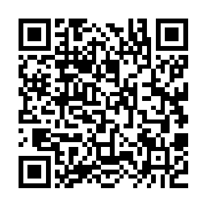 但更重视和平时的蓄养……而军队是体制中最剑走偏锋的极端二维码生成