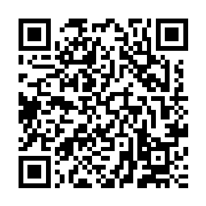 但最终都要落实到作品身上――或者说作品所带来的利益身上二维码生成
