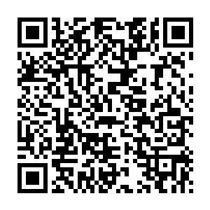 但最近几年最激动人心的外星生命探索的进展却是在地球上完成的二维码生成