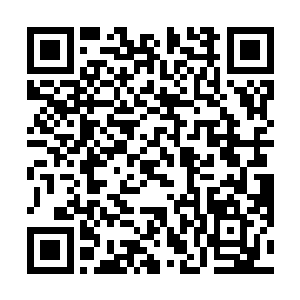 但李耀毫不犹豫地排除掉了这三种看似诱人的进化选项二维码生成