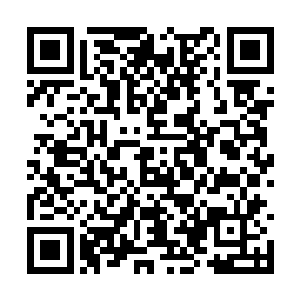 但杜克仍然是一个愿意给观众讲述美好故事的导演二维码生成