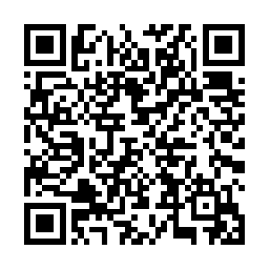 但林琳觉得她比自己见过的绝大多数女人都更接近完美二维码生成