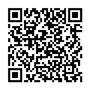 但楚暮能够从他们的眼神看到他们的期盼和希望二维码生成