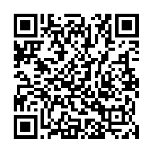 但此事终究太过危险以小国的实力去干涉大国的政局变幻二维码生成