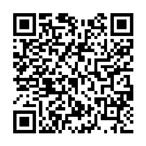 但此时我突然发现那些高一的混混已经把我围住了二维码生成