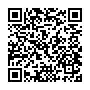 但此时落在天碑一侧扎根在其下的暗青色土壤之内后二维码生成