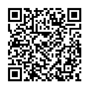 但每次推演的结果都在不断加深着天算子的担忧二维码生成