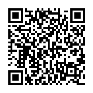 但毒姬却不为人察觉地皱了皱眉－－老祖宗如果真的成功了二维码生成