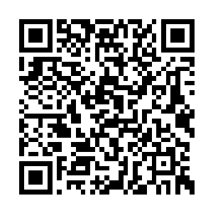 但沙瓦还是带着高扬穿过了夜总会然后上了二楼二维码生成