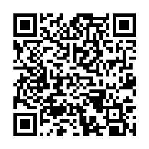 但没人怀疑这些龙皇会都被困在四阶巅峰不得寸进二维码生成