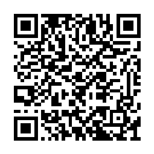 但没人比亚德里恩更明白灵魂分裂是怎么回事儿二维码生成