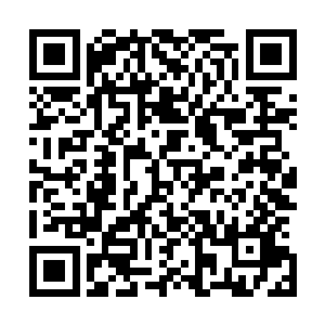 但没想到黑铁之堡里面这颗小树的情绪反应会是这么的神奇二维码生成