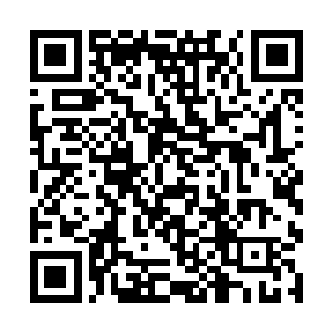 但没有人能比他更清楚这不过是一种自欺欺人的假象二维码生成
