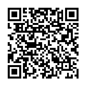 但没有想到即便之前的队伍核心也就是前任adcstyz出走以后二维码生成
