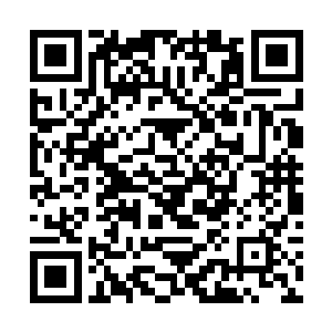 但煌煌神威却从那怪鸟的身躯源源不断地朝四周扩散二维码生成