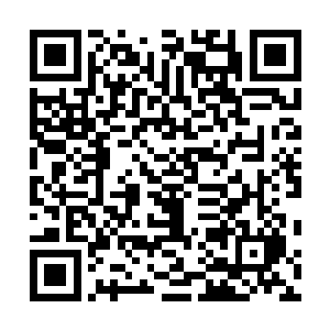 但猎兽小队的十人在此搜寻了数遍却愣是什么也没有发现二维码生成