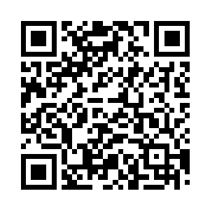 但王杰不应该只是对绝症有能力治疗吗二维码生成