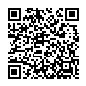 但现在全然变成了他们这些弟子自己去融入修真界二维码生成