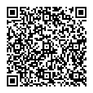 但白兰看的倒是挺高兴――也不知道这些枯燥的挥剑和没有特效又一打一停顿的对战练习精彩在哪里二维码生成