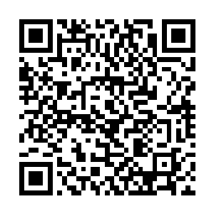 但皇帝陛下没有在出京的时候便下诏让太子殿下监国二维码生成