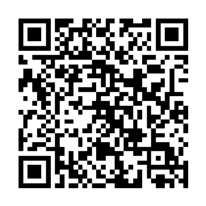 但看到杜金蝉居然能够以一手的力量将剑影直接拿捏住二维码生成