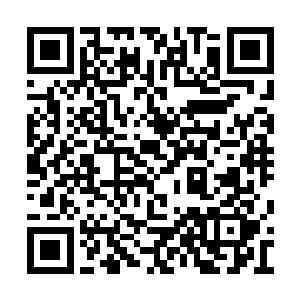 但看图片我也能看出来远远的超过了我的龙王兰二维码生成