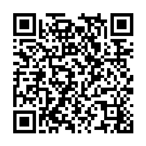 但看图纸也知道妻子想要建的农庄有多么与众不同二维码生成