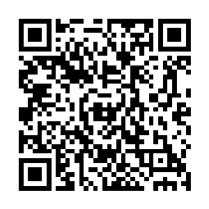 但看看现在沈崇明几兄弟和加拿大金三角回去的人手法二维码生成