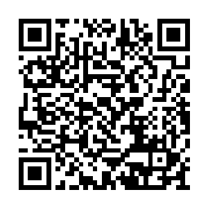 但看着主人家的几个小孩眼巴巴的守在电视机前二维码生成