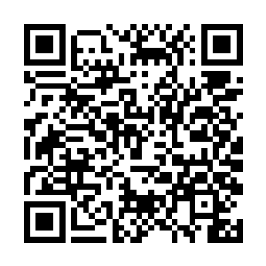 但真正决定强弱的还是要看神通在战斗做发挥的作用二维码生成