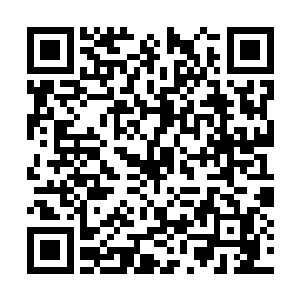但真正的对敌经验恐怕还没其它一些二级巫师丰富二维码生成