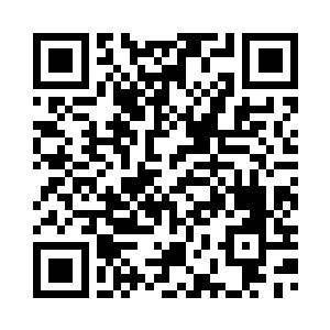 但眼下还真塔却有寂灭仙尊的封印二维码生成