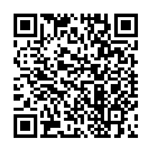 但秋风林区域内真正能够被称之为天才的人一共只有五个人二维码生成