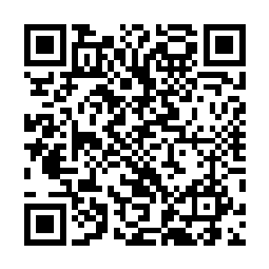 但程白泽的电话却弥补了我因为小姑离开而空落落的心情二维码生成