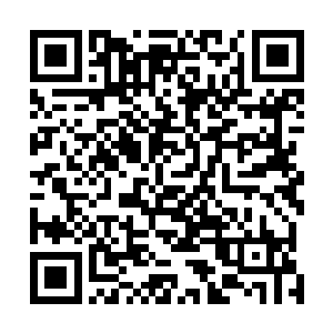 但等闲四五个小伙子肯定不会是他们中任何一个人的对手二维码生成